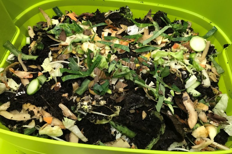 Fütterung der Kompostwürmer