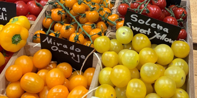 Tipps und Tricks zur Tomatenkultur